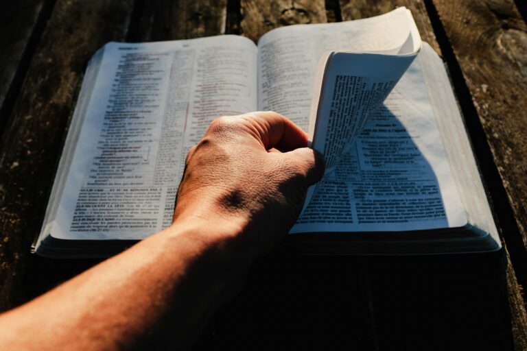 Digging Into the Book of James: A Practical Bible Study for Groups or Individuals