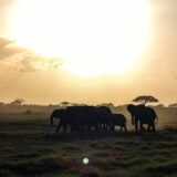 Why We Need Each Other’s Prayers