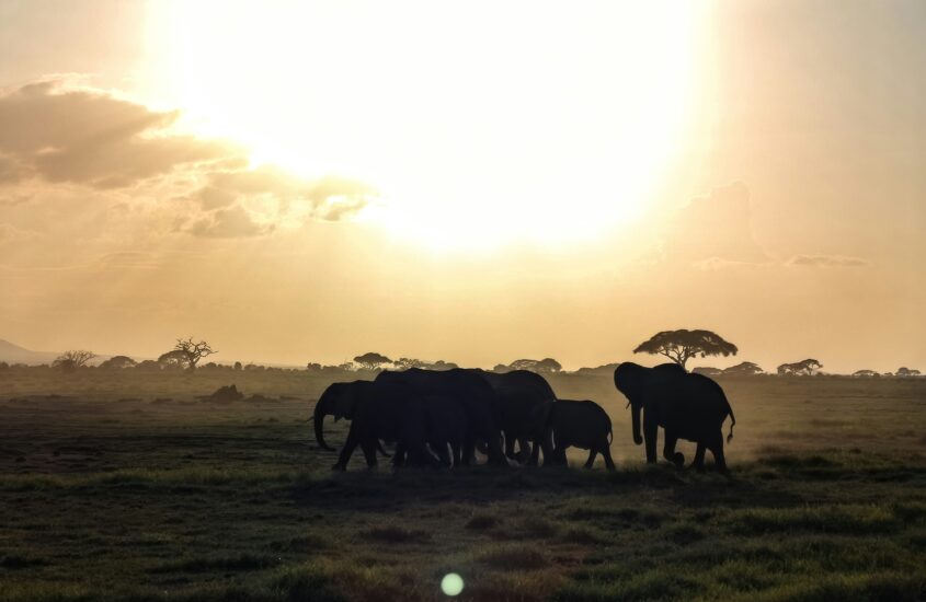 Why We Need Each Other’s Prayers