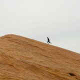 A Simple Tool for Growing Faithful Christian Leaders